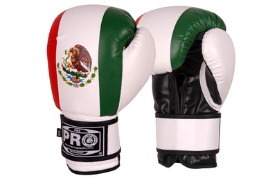 Pro Boxing® Series Deluxe Starter Boxing Gloves - Mexican Flag