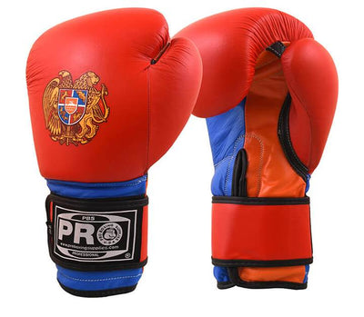 Pro Boxing® Classic Leather Training Gloves - Armenia