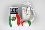 ProBoxing® Mini Gloves